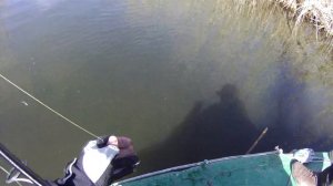 Рыбалка в Астрахани. Видео о ловля окуня на небольшие воблеры