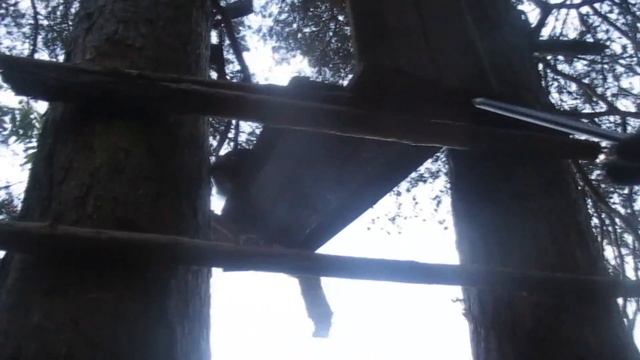 Заметки охотника 4 сезон 4 серия. Обзор первой засидки на дереве.