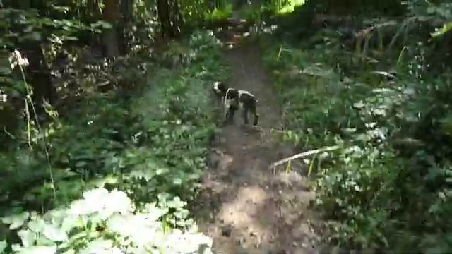 BUS2VIEW "Lumix DMC-Fx35" "PANASONIC" смотреть онлайн