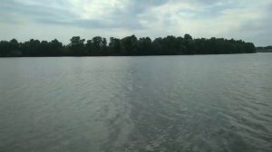 РЫБАЛКА МЕЧТЫ!!!,карп,бешеный клёв в Завидовке(с.Подымовка), Белгородская область,11.08.2021.mp4