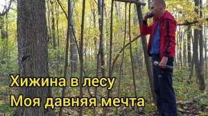 Хижина в лесу, моя давняя мечта. Bushcraft