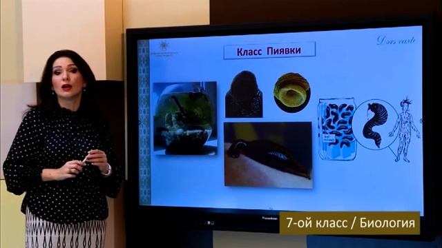 “Dərs vaxtı”: 7-ci sinif dərsləri (rus bölməsi) (03.03.2022) смотреть онлайн