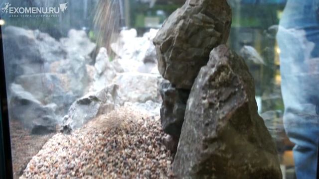 Оформление аквариума BioDesign с Павлом и Сергеем Баутиными. Часть 1 смотреть онлайн