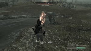 Lydia vs Dremora Lord (SKYRIM)
