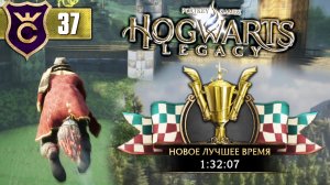 ЧЕМПИОН ГОНОК НА МЕТЛЕ! Hogwarts Legacy #37