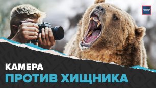 Медвежья угроза | Отследить и обезвредить | Специальный репортаж