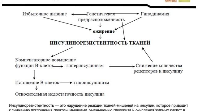 Патологическая физиология углеводного обмена
