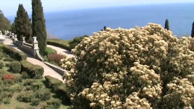 Что тебе подарить...