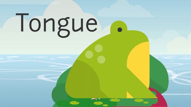 Let's Learn About Frogs #LetsLearnAboutThisAnimal #Frogs #7FactsAboutFrogs #Sk1dz смотреть онлайн