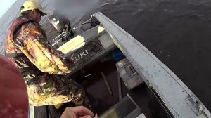 20 щук за два часа. Эти воблеры сводят щуку с ума. Рыбалка троллингом на крупную щуку.