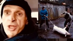 Интересный персонажи сережа унитаз и саня железяка мопс дядя пес