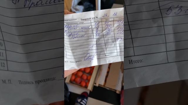 Как выжить фруктоеду? Сколько стоит фруктоедение?! Моя «продуктовая корзина».