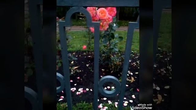 МАМА, МИЛАЯ МАМА... КАК ТЕБЯ, Я ЛЮБЛЮ ♥