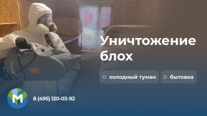 Уничтожение блох холодным туманом - МосОблДез