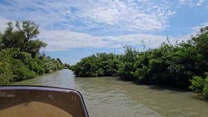 Долина лотосов, скоростная прогулка на лодке к Цветущим Лотосам по реке Казачий Ерик