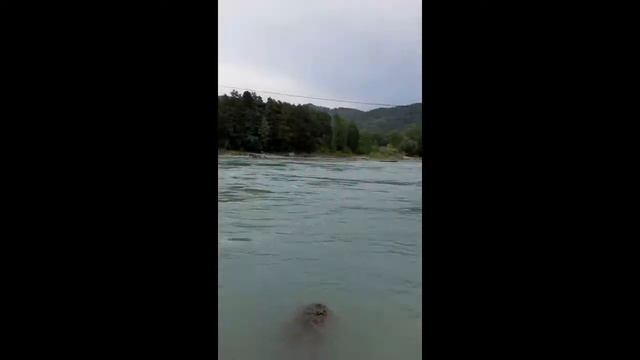 Катунь моя смотреть онлайн