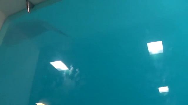 ? По пути (2) - Лучший фастфуд на побережье смотреть онлайн