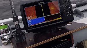 Ловля на джиг в начале октября - Десногорское водохранилище