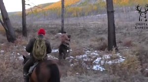 Тизер Охота в Бурятии