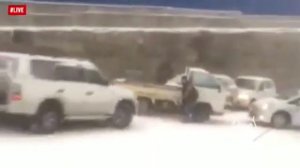 Мурзилки Live