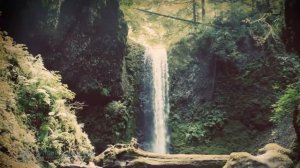 Экхарт Толле   Сила Настоящего Сила Момента Сейчас #14, осознанасть