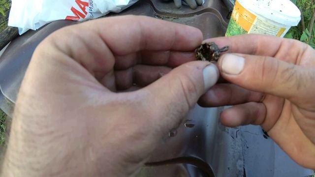 Редкие находки смотреть онлайн