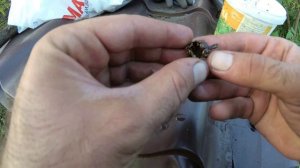 Редкие находки