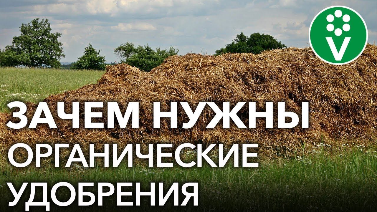 ЧТО БУДЕТ, ЕСЛИ НЕ ВНОСИТЬ ОРГАНИЧЕСКИЕ УДОБРЕНИЯ?
