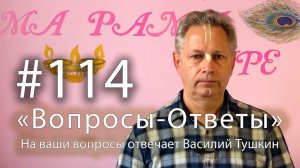 "Вопросы-Ответы", Выпуск #114 - Василий Тушкин отвечает на ваши вопросы