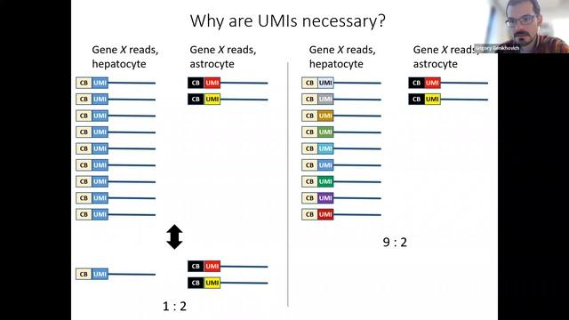 Принципы биологии развития, Г.Генихович - лекция 2, 15-02-2022 смотреть онлайн