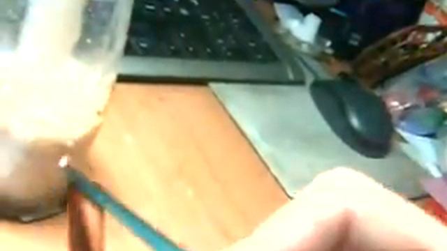 Лепесток Хризантемы смотреть онлайн