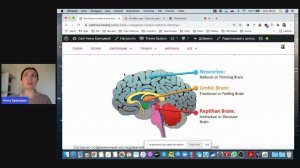 Почему случайности не случайны (Или как работает наш рептильный мозг)