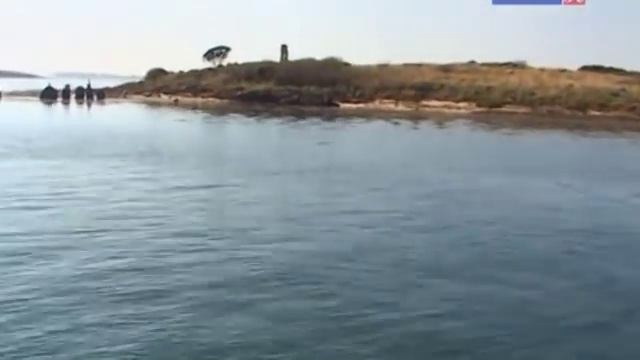 Золотая спираль Фибоначчи