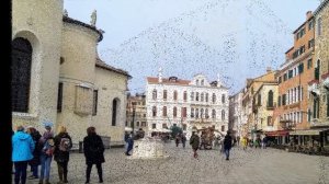 ВЕНЕЦИЯ. Карнавал - 2020: прогулки по городу и кот в книжной лавке