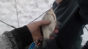 Озеро чаны. Первый лёд. Пристань пенсионеров.