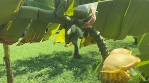 Отель Жемчужина Сочи