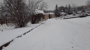 Брянск.Набережная.Десна река.Утки на реке Десне.