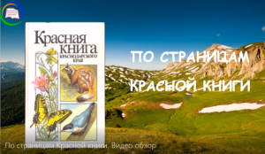 По страницам Красной книги. Видео обзор