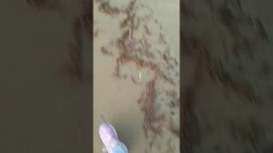 турбаза отдыха Акватория. 1 часть