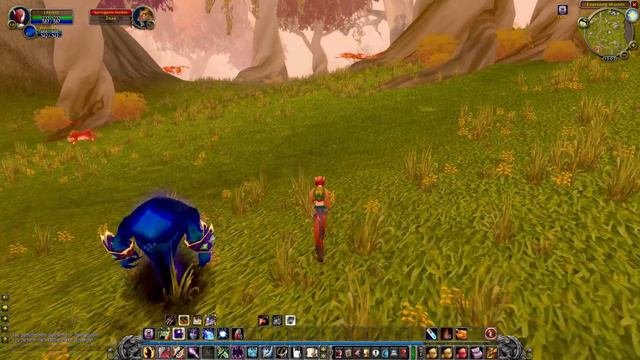Let's Play WoW -The Burning Crusade Classic - Warlock - Part 9 - Gameplay Walkthrough