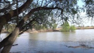 Астрахань 2023 птицы и река