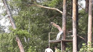 Прогулка под парусом. Август 2013.