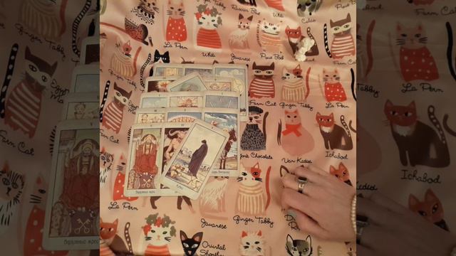 💫⚘️🤍Что он сегодня думал о тебе🤍 смотреть онлайн