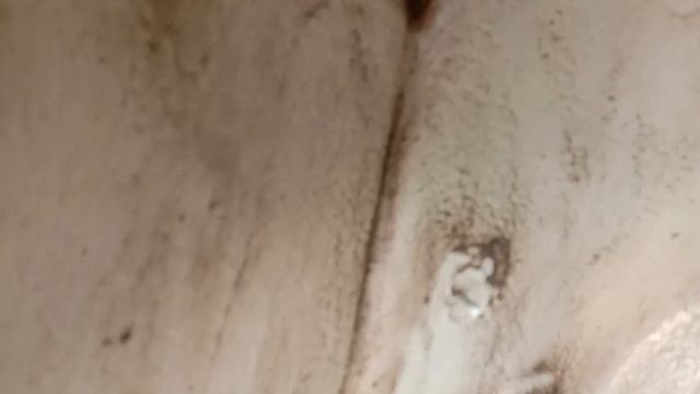 Аркана сгнила за полгода??? смотреть онлайн