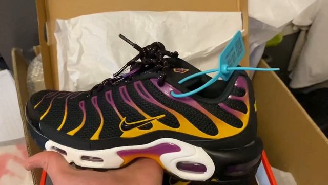 САМЫЕ НЕУБИВАЕМЫЕ КРОССОВКИ! ОБЗОР NIKE AIR MAX PLUS TN! Я ходил в них 1.5 года! смотреть онлайн