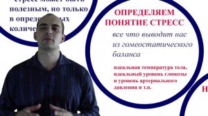 1. Развиваем стрессоустойчивость. Что такое стресс?