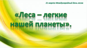 «Леса – легкие нашей планеты». К Международному дню леса.