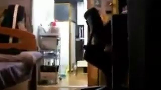 Страшный кот смотреть онлайн