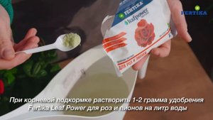 Fertika Leaf Power для роз и пионов