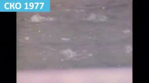 Совхоз Ленинский в Северном Казахстане